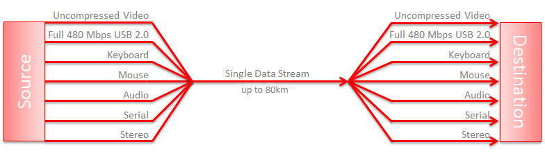 Single Data Stream up to 80km